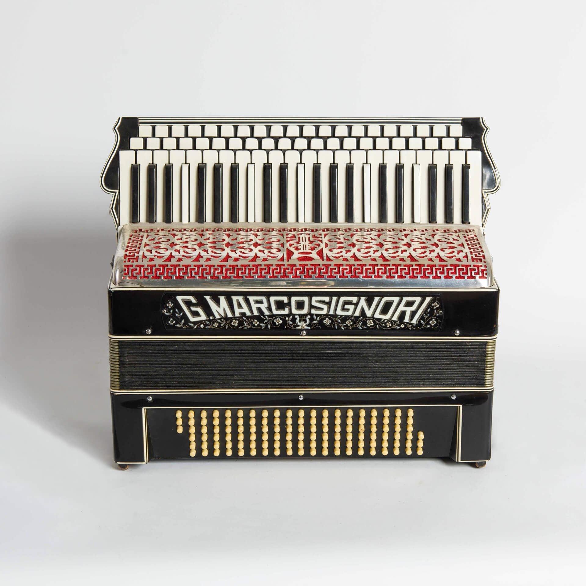 2020 fisarmonica